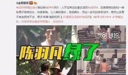 绿军粉丝爆料事件视频播放,揭秘事件背后真相