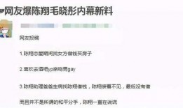 陈翔助理爆料视频大全最新,揭秘明星幕后真相