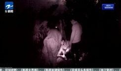 鸳鸯大盗 在线观看,传奇盗贼的生死较量